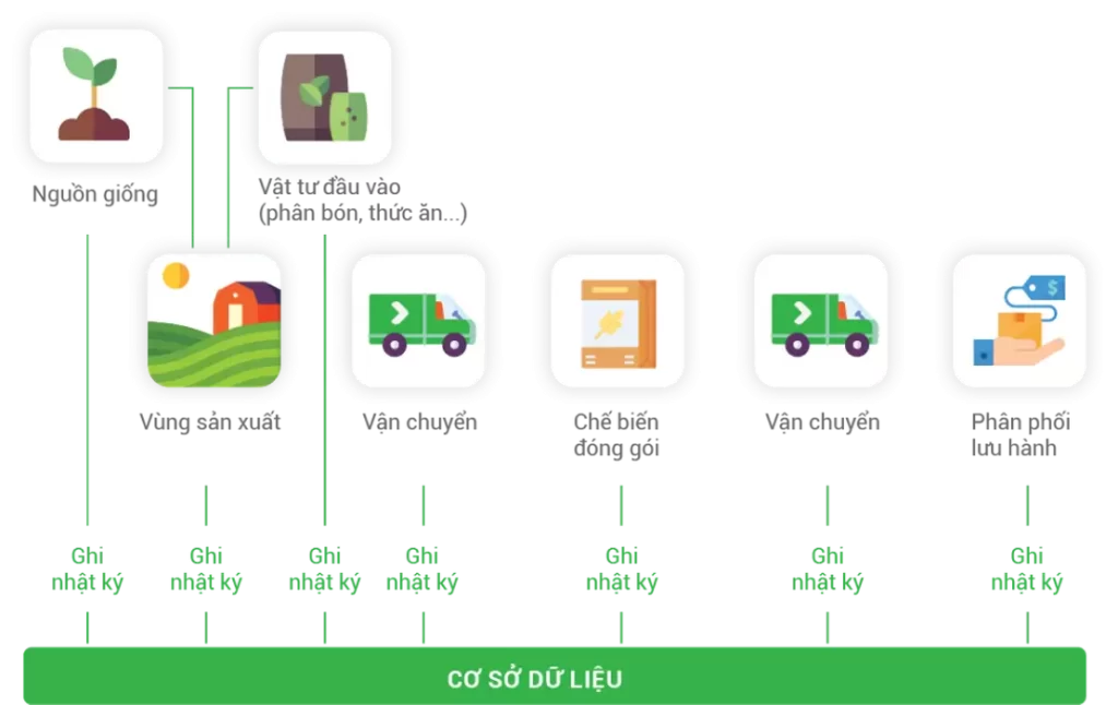 Ảnh QR Bảo Hành