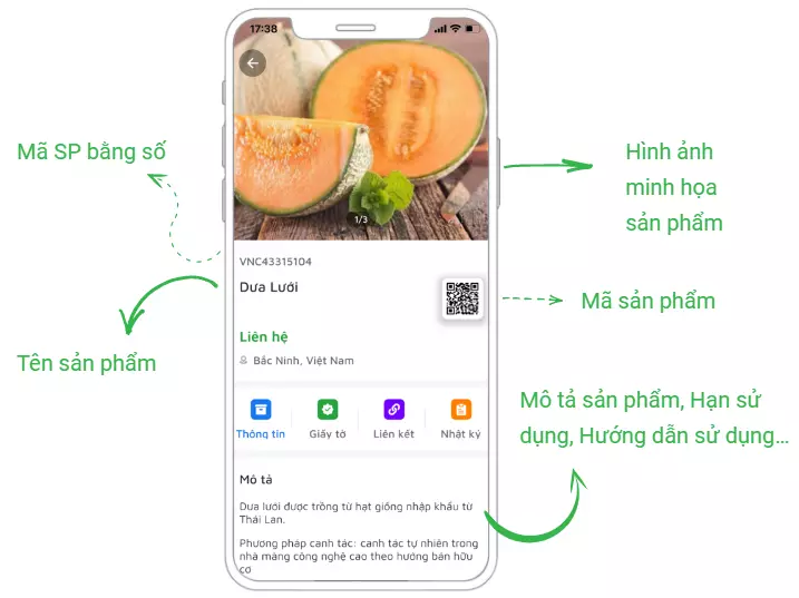 Ảnh quản lý tem