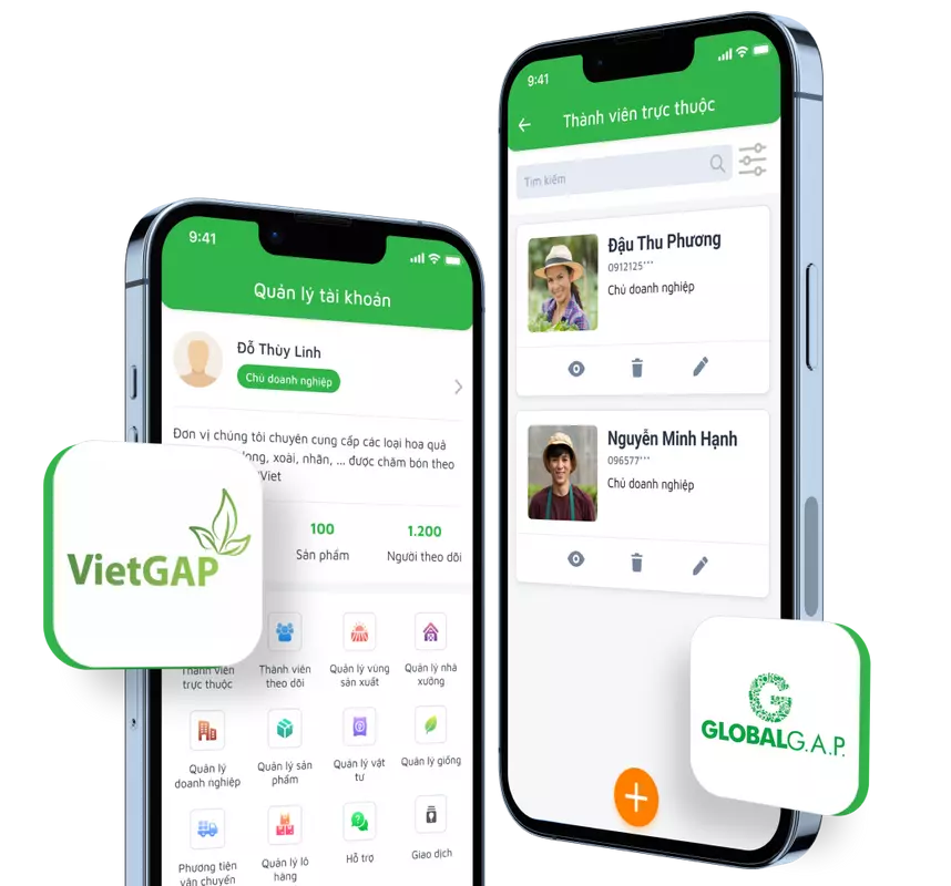 Ảnh quản lý tem